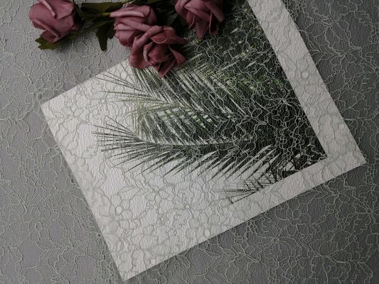 100% Polyester Corded Lace Fabric Customized Color Embroidered Fabric