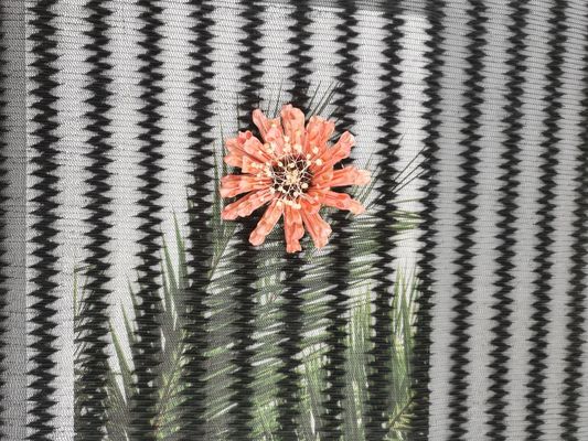 Zipper Mesh Coat Black Polyester Pleated Lace Fabric