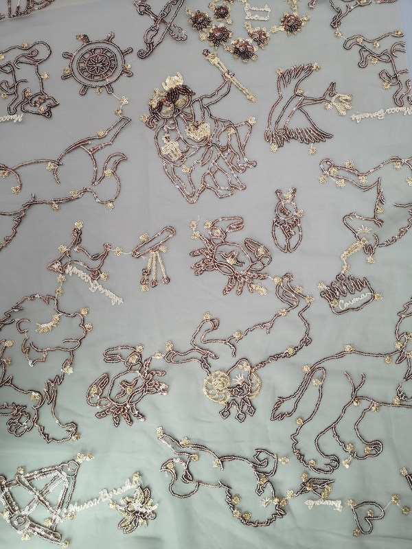 Champagne Color Sequin Embroidered Fabric Girl Dress Lace Mesh Sequin