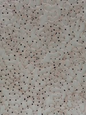 Three Dimensional 3D Floral Lace Fabric Dot Flocked Tulle Cording Mesh